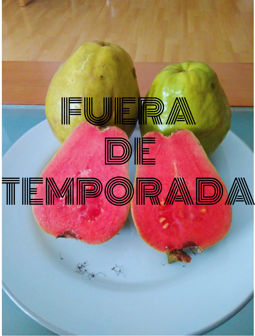 Pink guava from Valencia